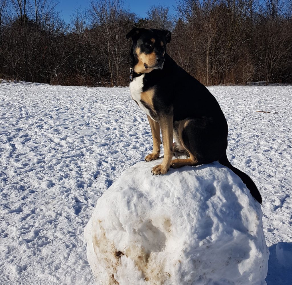 Charlie Kelev Certified Executive Coach